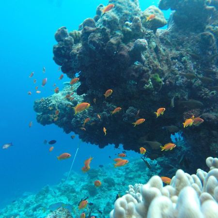 Rasdhoo Coralville Dış mekan fotoğraf