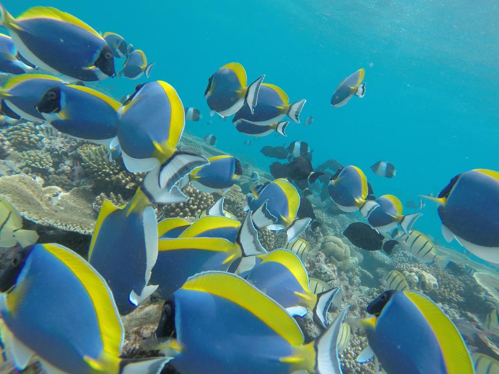 Rasdhoo Coralville Dış mekan fotoğraf