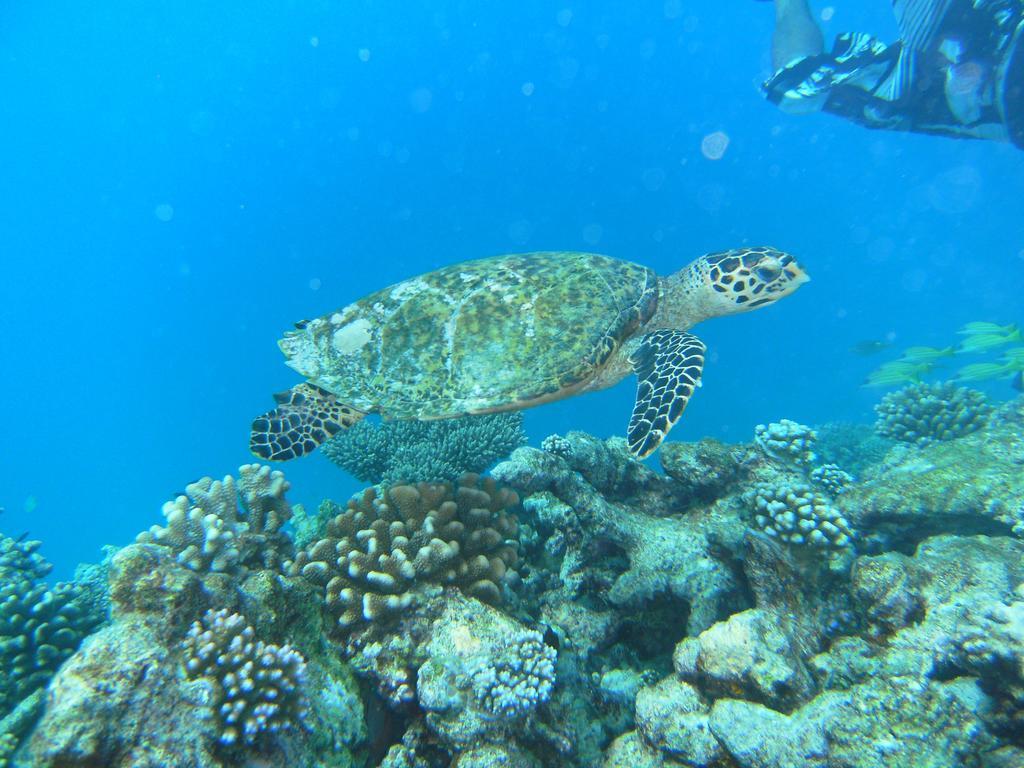 Rasdhoo Coralville Dış mekan fotoğraf