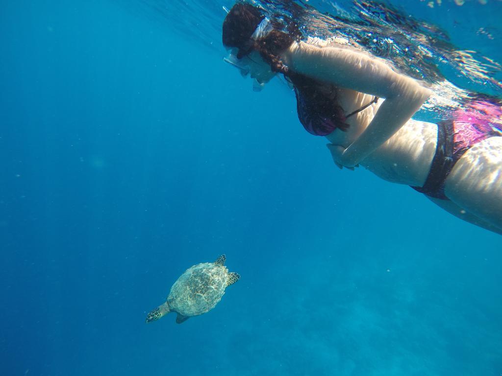 Rasdhoo Coralville Dış mekan fotoğraf