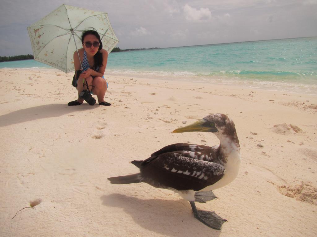 Rasdhoo Coralville Dış mekan fotoğraf