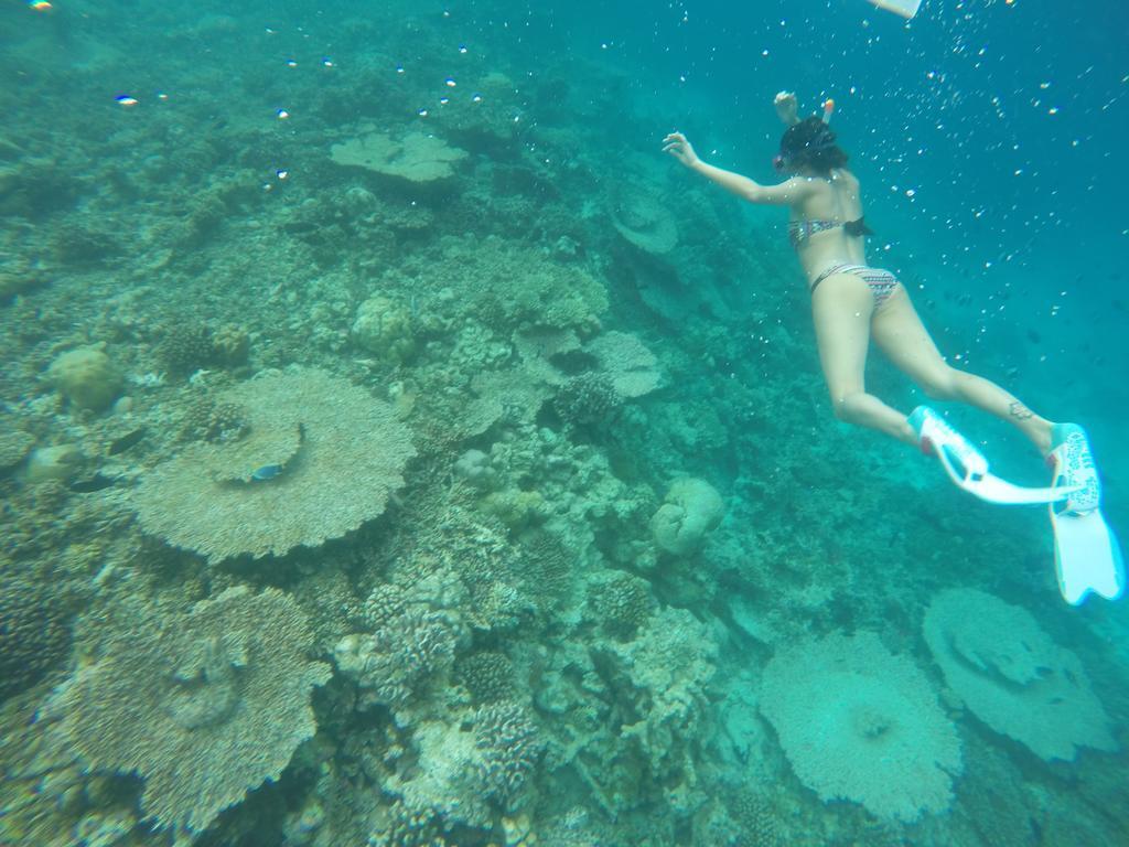 Rasdhoo Coralville Dış mekan fotoğraf